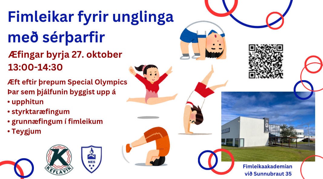 Fimleikar fyrir unglinga með sérþarfir !