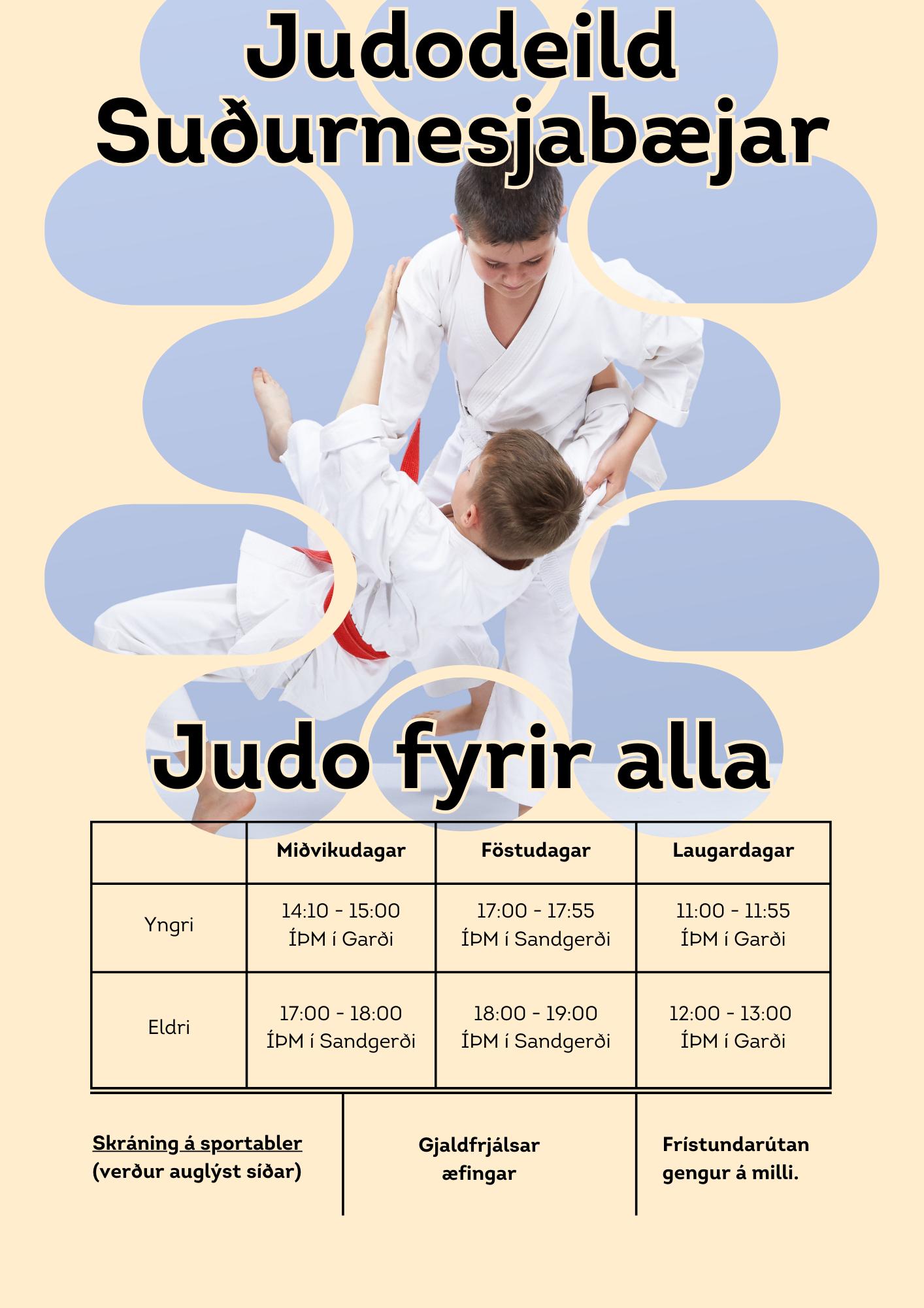 Judo fyrir alla